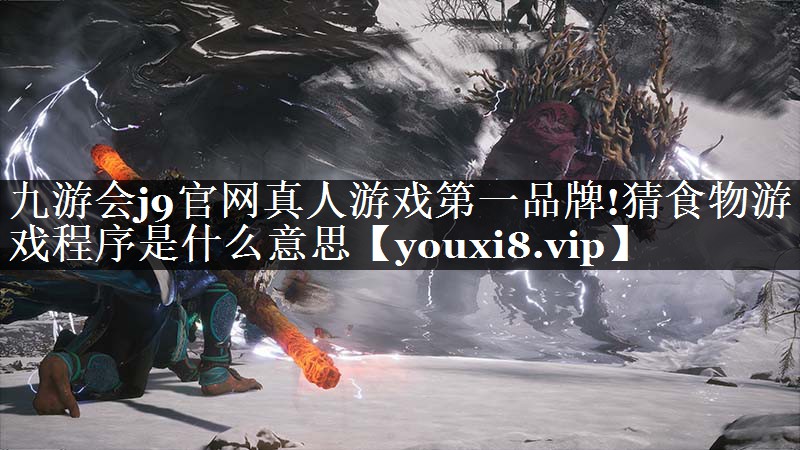 九游会j9官网真人游戏第一品牌!猜食物游戏程序是什么意思