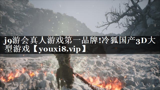 冷狐国产3D大型游戏