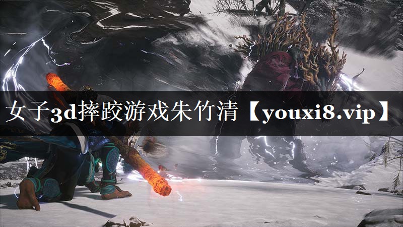 女子3d摔跤游戏朱竹清