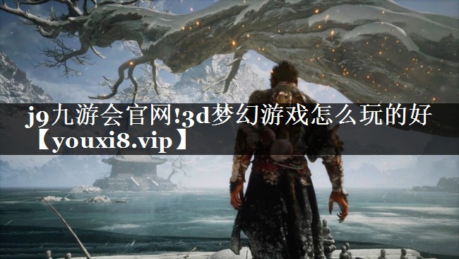 3d梦幻游戏怎么玩的好