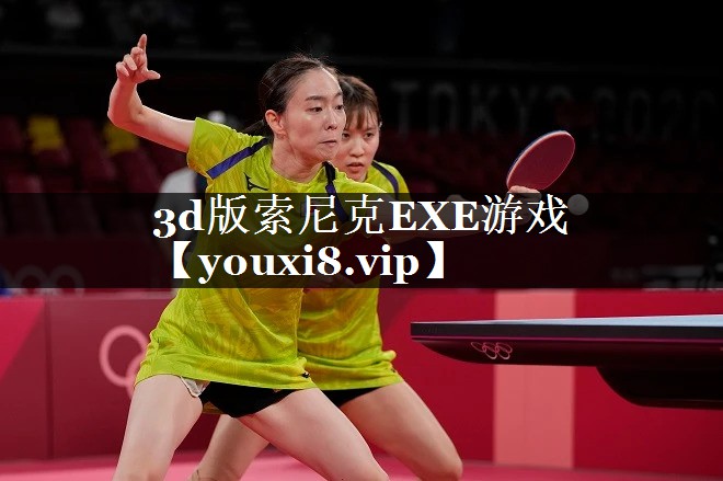 3d版索尼克EXE游戏