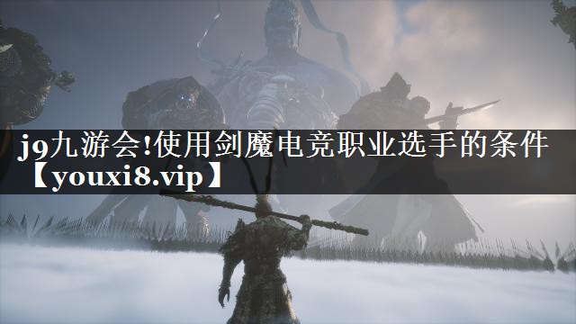 使用剑魔电竞职业选手的条件