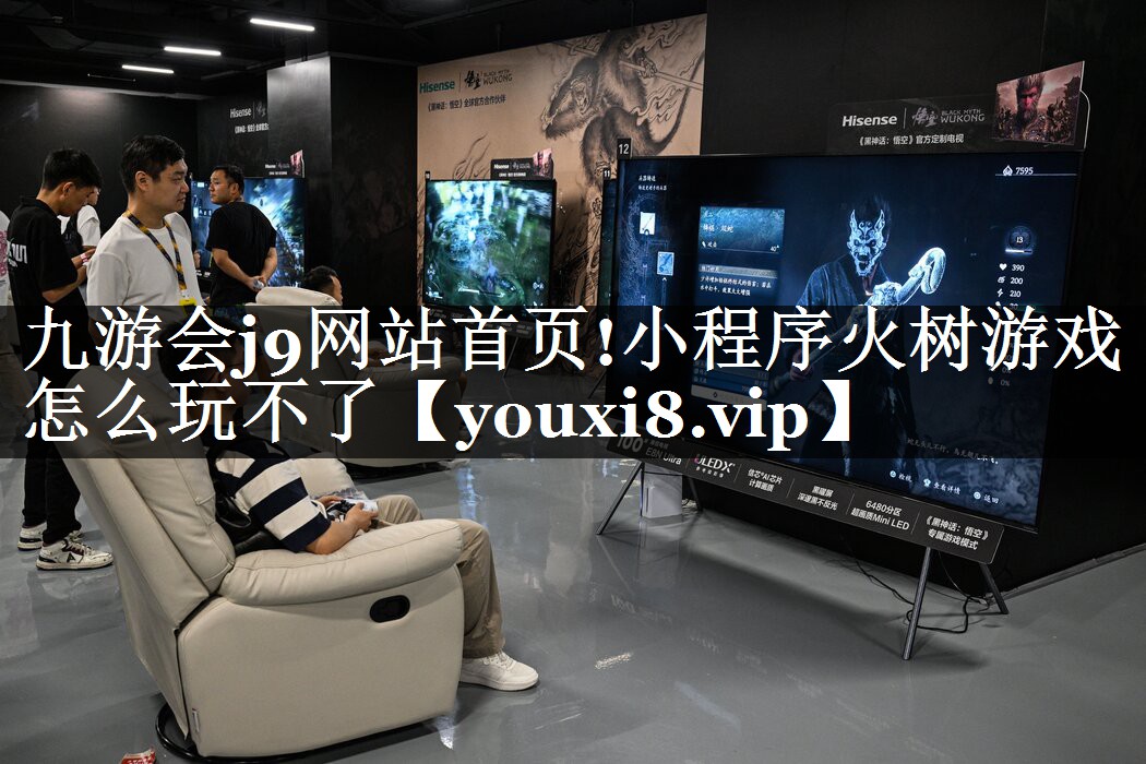 小程序火树游戏怎么玩不了