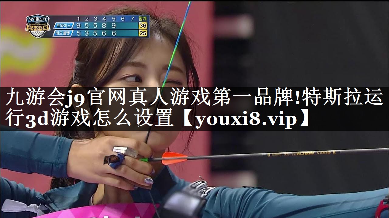 特斯拉运行3d游戏怎么设置