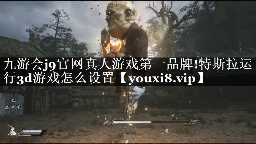 特斯拉运行3d游戏怎么设置